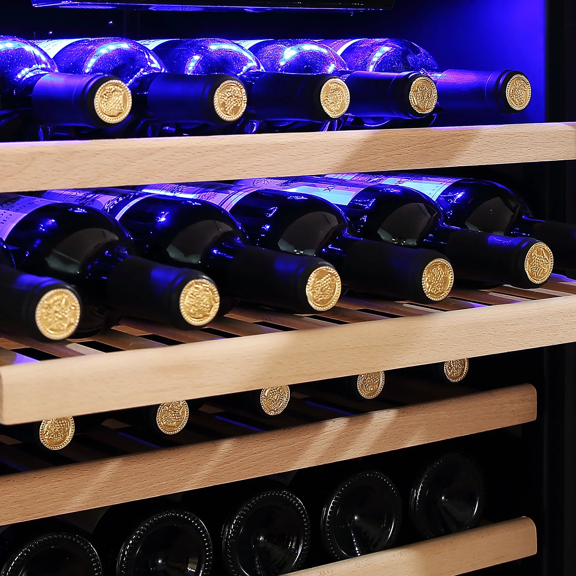 Wine bottle cooler shelf close-up with bottles under blue interior lighting