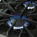 Forno 48" Alta Qualita Gas Range with Air Fryer, 8 Gas Burners, Gas Oven, Temperature Gauge, Griddle, in Stainless Steel (FFSGS6291-48)