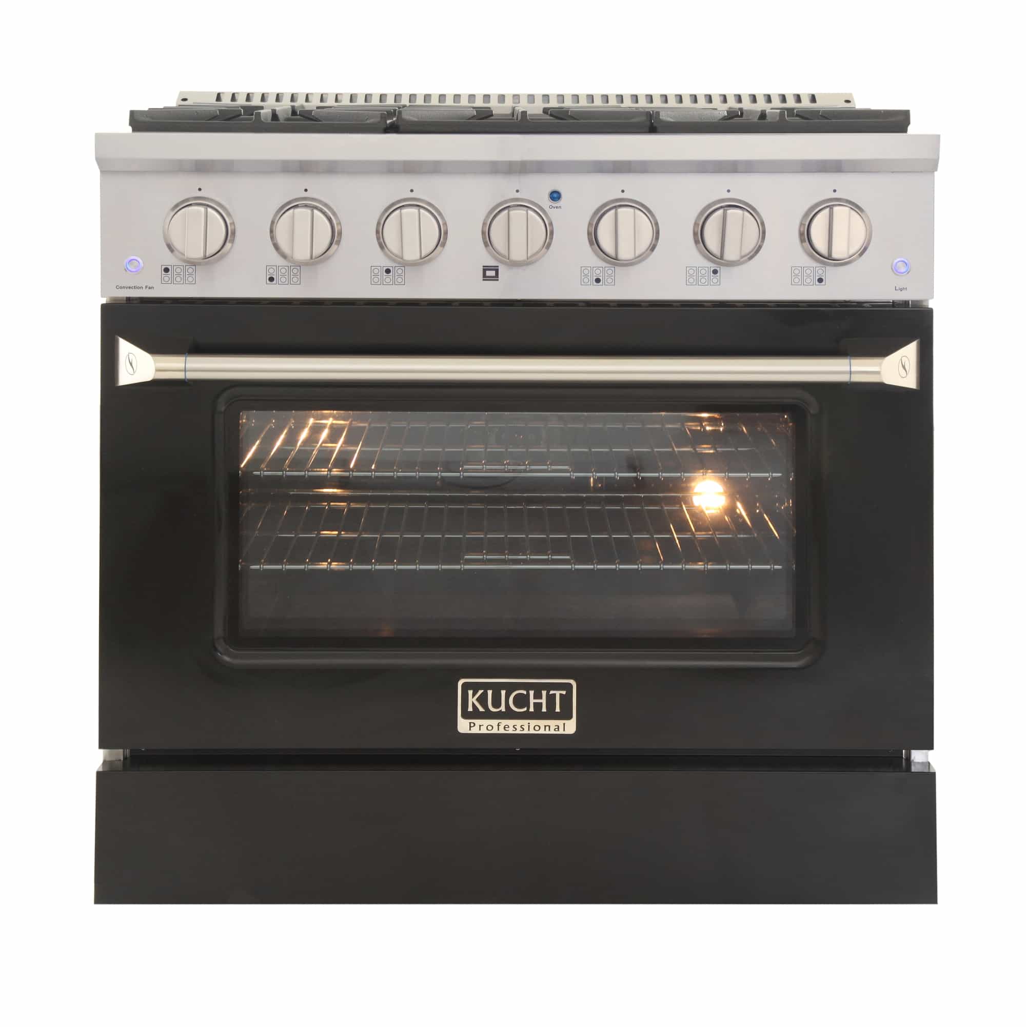 Black oven door with glass window and stainless control knobs on pro-style range