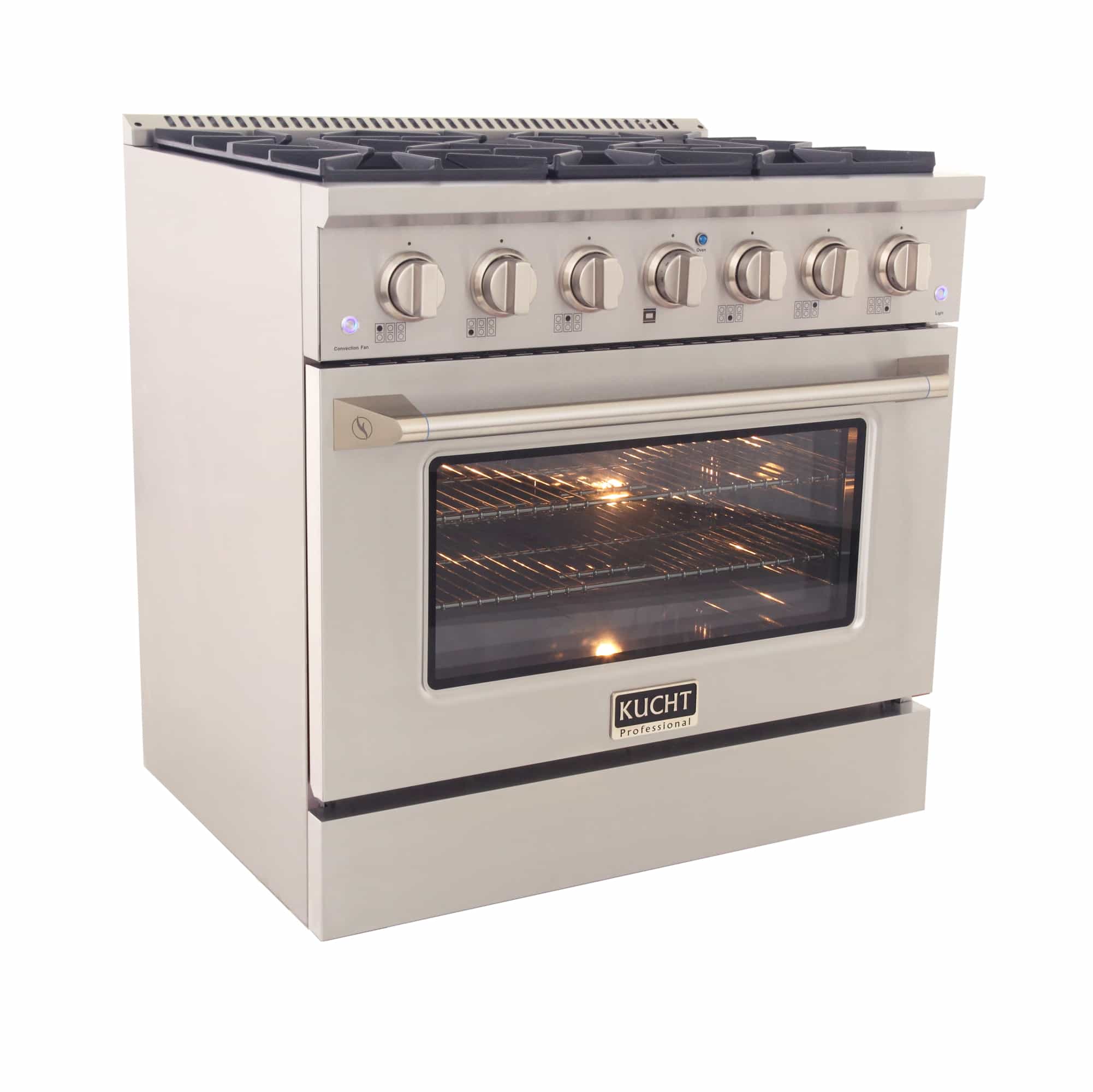 Stainless steel dual fuel range with glass oven door and top burner grates