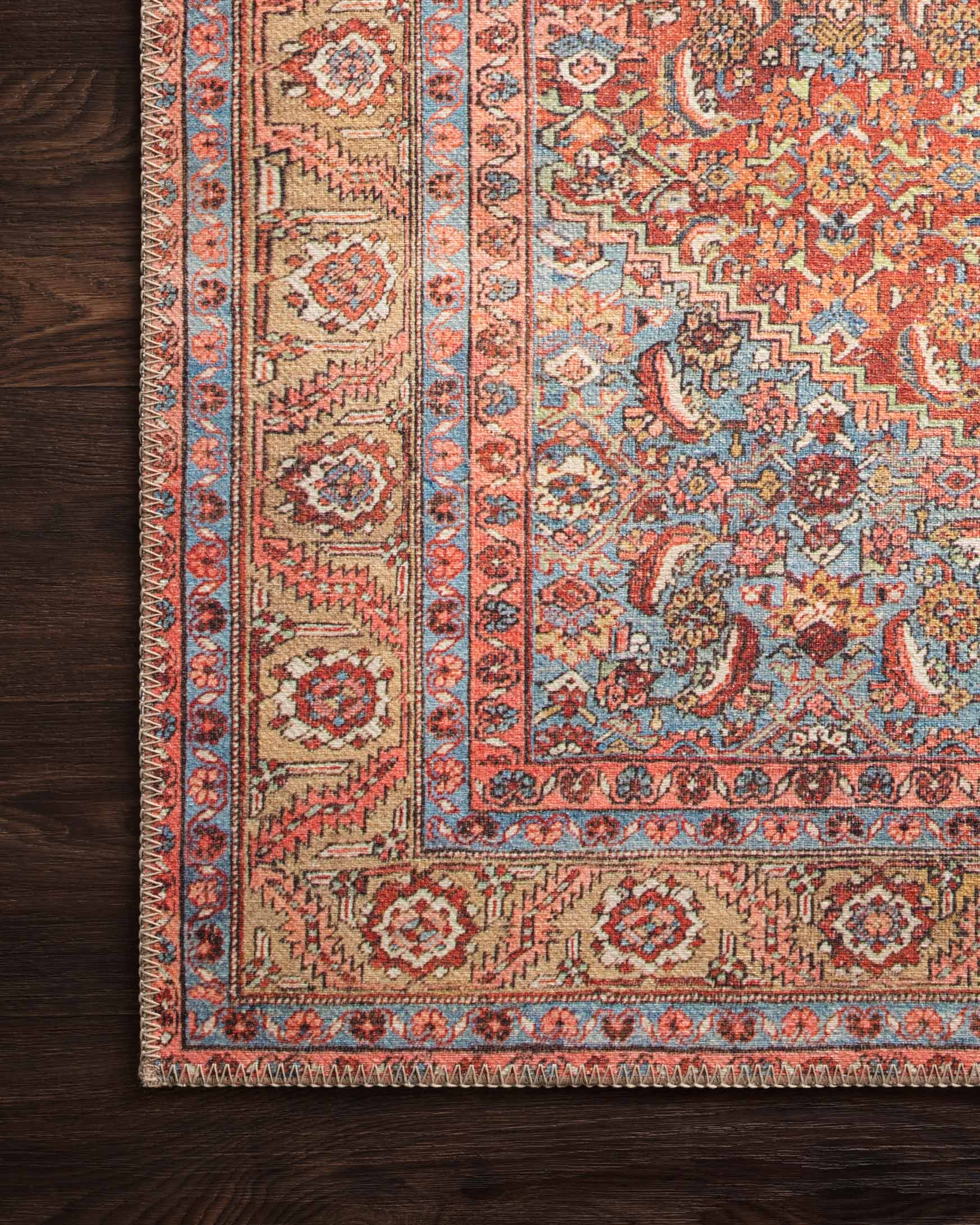 Red and blue rug border detail with medallion motifs along decorative stripes