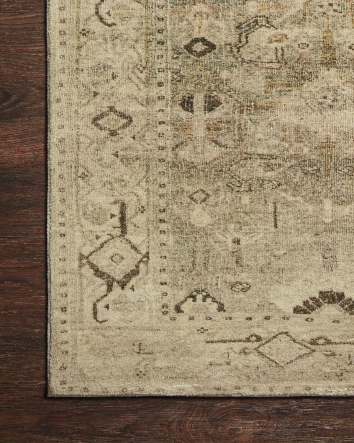 Close-up of antique and sage rug with geometric motifs on light distressed background