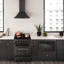 ZLINE 24-inch Legacy Series Dual Fuel Range with 4 Gas Brass Burners and 2.8 Cu.ft. Electric Oven in Black Stainless (RAB-BR-24)