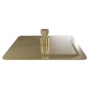 ZLINE Bliss 8-Inch Shower Head in Champagne Bronze (BLS-H8-CB)