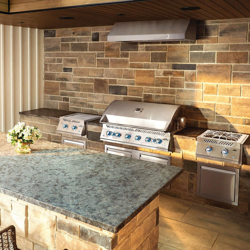 Napoleon 44-Inch 700 Series 44 RB Built-In Natural Gas Grill with Dual Infrared Rear Burners in Stainless Steel (BIG44RBNSS)