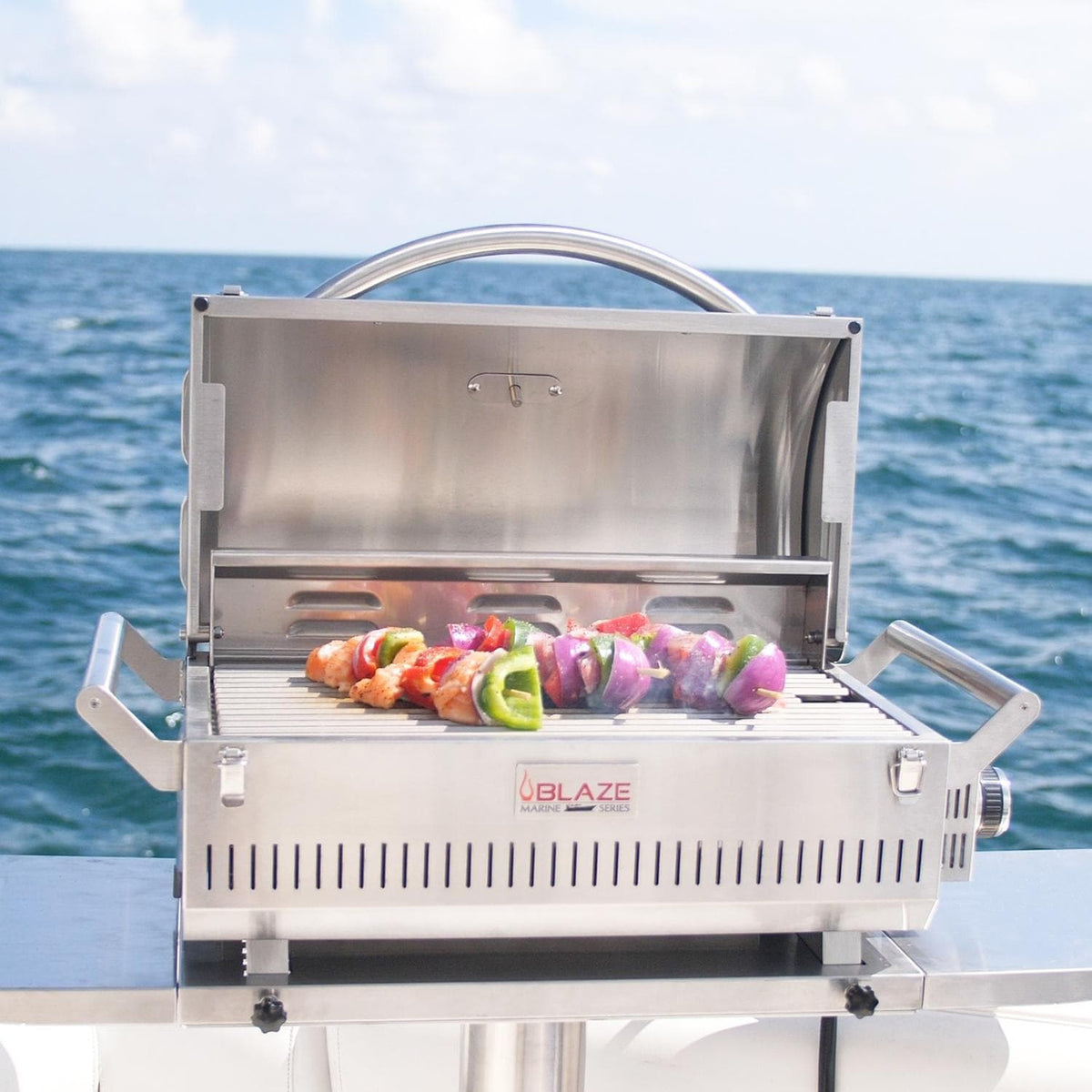 Marine propane grill hotsell