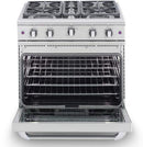 Capital 30" Precision Series Freestanding Gas Range with 4.9 cu. ft in Stainless Steel (MCR304) Ranges Capital 