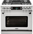 Capital 36" Connoisseurian Series Dual Fuel Range with Self Clean and 5.4 cu. ft. in Stainless Steel (CSB362B2) Ranges Capital 