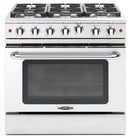 Capital 36" Precision Series Freestanding All Gas Range with 4.9 cu. ft Oven in Stainless Steel (MCR366) Ranges Capital Natural Gas 6 Sealed Burners 