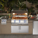 Fire Magic 30" Built-In Propane Gas Grill with Rotisserie And Analog Thermometerin Stainless Steel (A540I-8EAP) Grills Fire Magic 