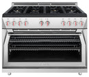 Forza 3-Piece Appliance Package - 48" Gas Range, Premium Range Hood, & 24" Dishwasher in Stainless Steel Appliance Package Forza 