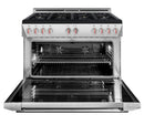 Forza 48" 7.8 cu. ft. Stainless Steel Pro-Style Gas Range (FR488GN) Ranges Forza 