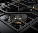 Forza 48" 7.8 cu. ft. Stainless Steel Pro-Style Gas Range (FR488GN) Ranges Forza 