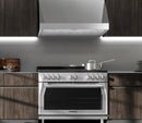Forza 48" Professional Range Hood - Wall Mount or Under Cabinet - 24" Tall (FH4824) Range Hoods Forza 