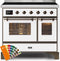 ILVE 40-Inch Majestic II induction Range with 6 Elements - 3.82 cu. ft. Oven - Bronze Trim in Custom RAL Color (UMDI10NS3RALB)