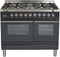 ILVE 40-Inch Professional Plus - Dual Fuel Range with 2 Ovens - 6 Sealed Burners - 4 cu. ft. Oven in Matte Graphite (UPDW1006DMPM)