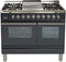 ILVE 40-Inch Professional Plus - Dual Fuel Range with Griddle - 2 Ovens - 4 Sealed Burners - 4 cu. ft. Oven in Matte Graphite (UPDW100FDMPM)