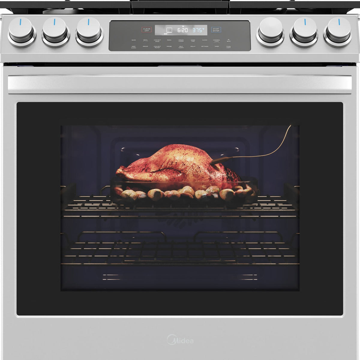 Stainless steel gas oven window shows roasted chicken and tray on rack