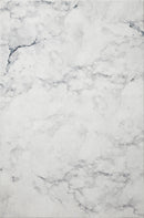 Loloi II Contemporary Pisolino Polyester Pile Power Loomed Rug in White, Gray (JOE-04) Rugs Loloi Rugs 