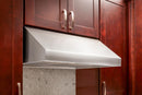 Thor Kitchen 30-inch Under Cabinet Range Hood in Stainless Steel with 1000 CFM Motor (TRH3005) Range Hoods Thor Kitchen 