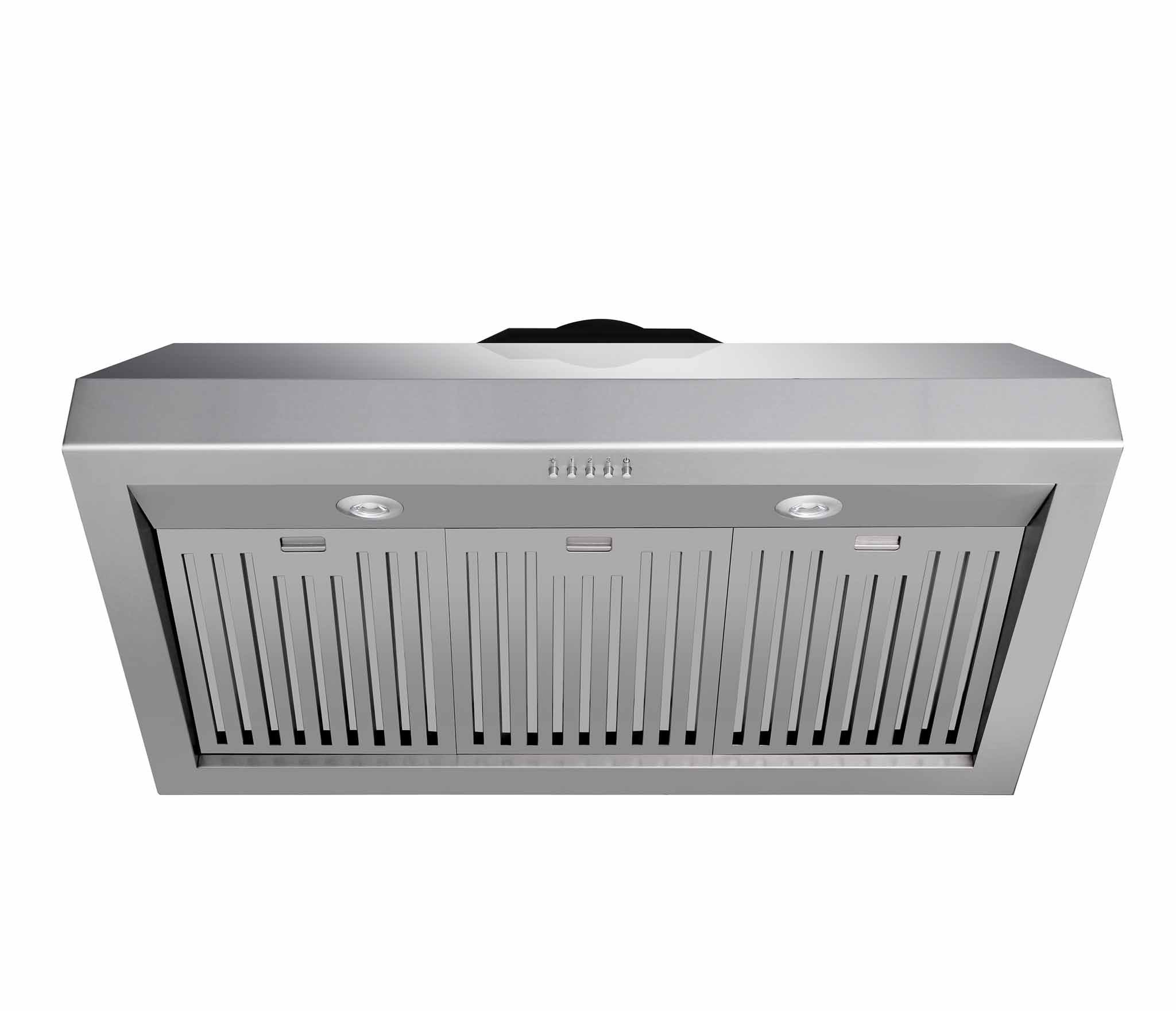 Stainless steel range hood with vent grille and dual fan caps