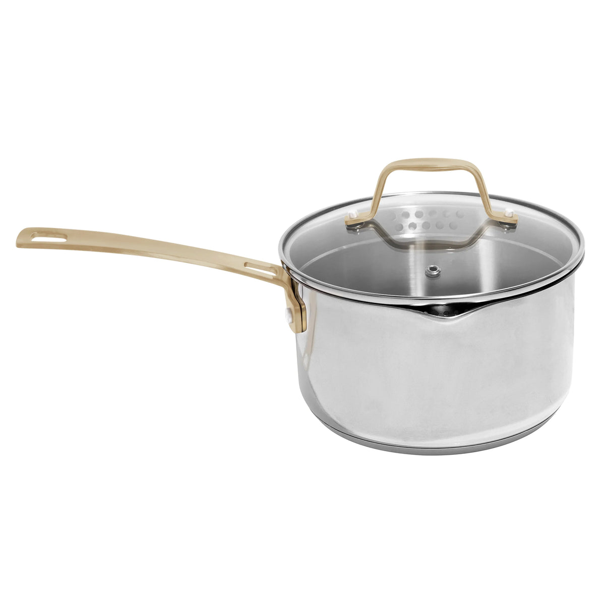 Stainless steel stock pot with lid and gold loop handles