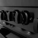 ZLINE 24-inch Legacy Series Dual Fuel Range with 4 Gas Brass Burners and 2.8 Cu.ft. Electric Oven in Black Stainless (RAB-BR-24)