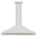 ZLINE 48-Inch Autograph Edition Wall Mounted Range Hood in Stainless Steel with Champagne Bronze Accents (KB4STZ-48-CB)