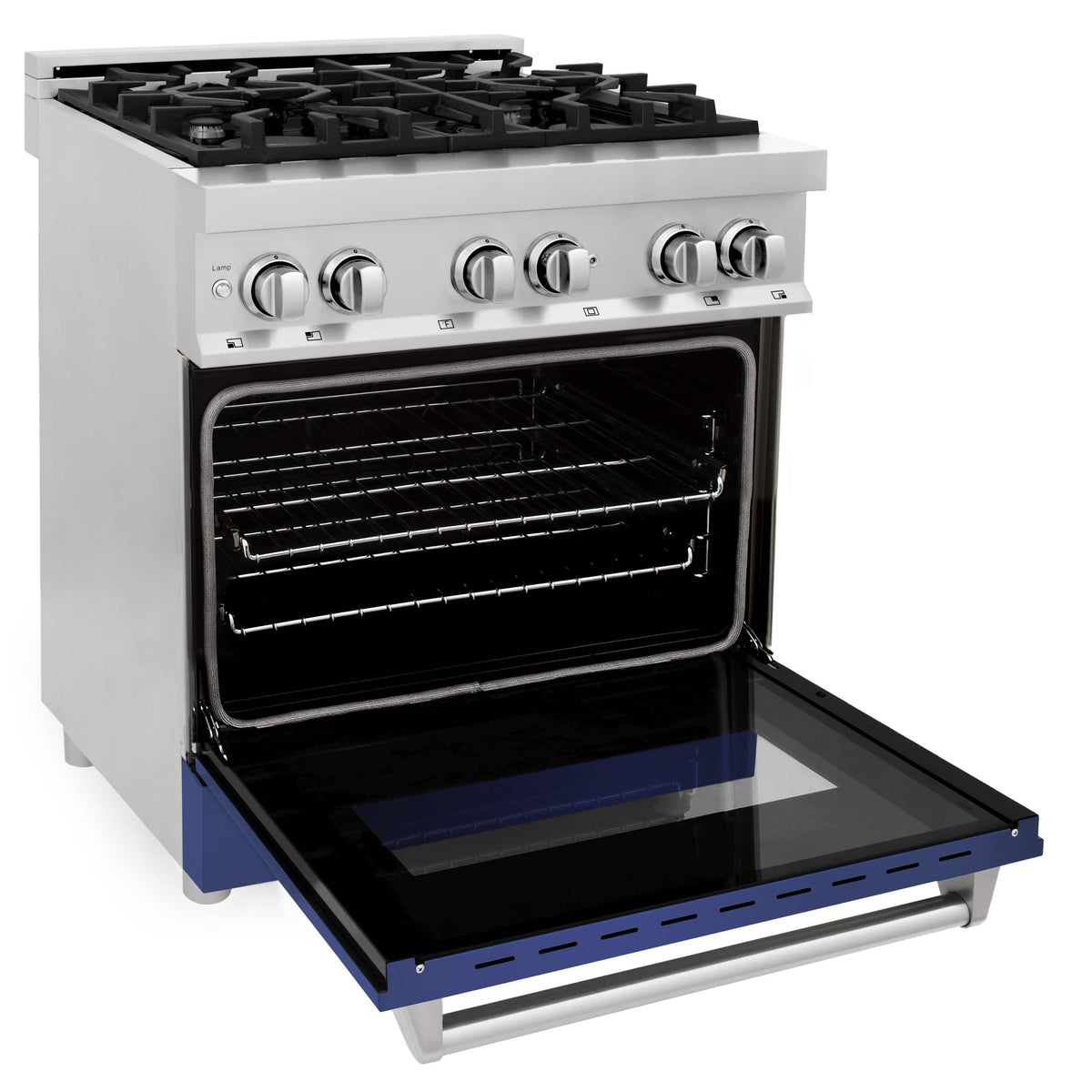 Dual fuel range open oven door showing blue lower panel