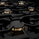 ZLINE 2-Piece Appliance Package - 36" Dual Fuel Range with Brass Burners & Convertible Wall Mount Range Hood in Black Stainless Steel Appliance Package ZLINE 