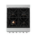 ZLINE 24" 2.8 cu. ft. Range with Gas Stove and Gas Oven in Stainless Steel with Brass Burners (RG-BR-24) Ranges ZLINE 