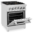 ZLINE 24" 2.8 cu. ft. Range with Gas Stove and Gas Oven in Stainless Steel with Brass Burners (RG-BR-24) Ranges ZLINE 
