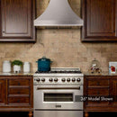 ZLINE 30" Designer Series DuraSnow Stainless Wall Range Hood with 500 CFM Motor (8632S-30) Range Hoods ZLINE 