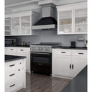 ZLINE 30" Professional Dual Fuel Range in DuraSnow Stainless with Black Matte Door (RAS-BLM-30) Ranges ZLINE 