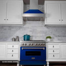ZLINE 30" Professional Dual Fuel Range in DuraSnow Stainless with Blue Gloss Door (RAS-BG-30) Ranges ZLINE 
