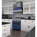 ZLINE 30" Professional Dual Fuel Range in DuraSnow Stainless with Blue Matte Door (RAS-BM-30) Ranges ZLINE 