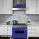 ZLINE 30" Professional Dual Fuel Range in DuraSnow Stainless with Blue Matte Door (RAS-BM-30) Ranges ZLINE 
