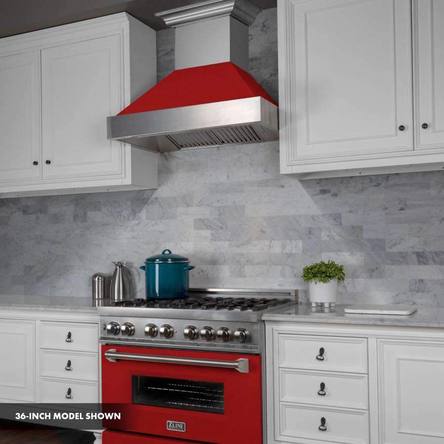 Stainless steel and red dual-fuel range with vent hood and cooktop burners