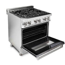 ZLINE 30" Professional Dual Fuel Range with DuraSnow Door (RA-SN-30) Ranges ZLINE 
