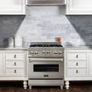 ZLINE 30" Professional Gas on Gas Range in Stainless Steel with DuraSnow Stainless Door (RG-SN-30) Ranges ZLINE 