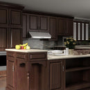 ZLINE 30" Under Cabinet Stainless Steel Range Hood with 600 CFM Motor (623-30) Range Hoods ZLINE 