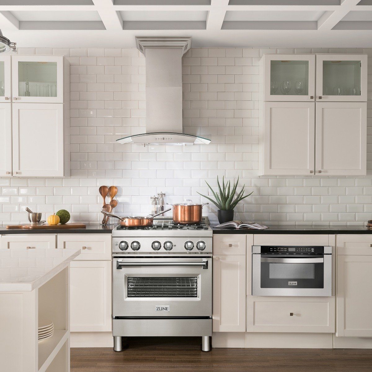 Wall mount stainless range hood with vent canopy and chimney above gas stove