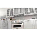 ZLINE 36" Designer Series Stainless Wall Range Hood (KB2-SSSXS-36) Range Hoods ZLINE 