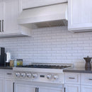 ZLINE 36 in. DuraSnow® Stainless Steel Under Cabinet Range Hood (8685S-36) Range Hoods ZLINE 