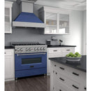 ZLINE 36" Professional Dual Fuel Range in DuraSnow Stainless with Blue Matte Door (RAS-BM-36) Ranges ZLINE 