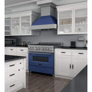 ZLINE 36" Professional Dual Fuel Range in DuraSnow Stainless with Blue Matte Door (RAS-BM-36) Ranges ZLINE 