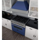 ZLINE 36" Professional Dual Fuel Range in DuraSnow Stainless with Blue Matte Door (RAS-BM-36) Ranges ZLINE 