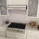 ZLINE 36" Under Cabinet Stainless Steel Range Hood with 600 CFM Motor (625-36) Range Hoods ZLINE 