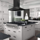 ZLINE 42" Island Range Hood Black Stainless Steel (BSGL2iN-42) Range Hoods ZLINE 