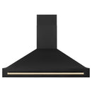 ZLINE 48" Autograph Edition Wall Mount Range Hood in Black Stainless Steel with Gold Handle (BS655Z-48-G) Range Hoods ZLINE 